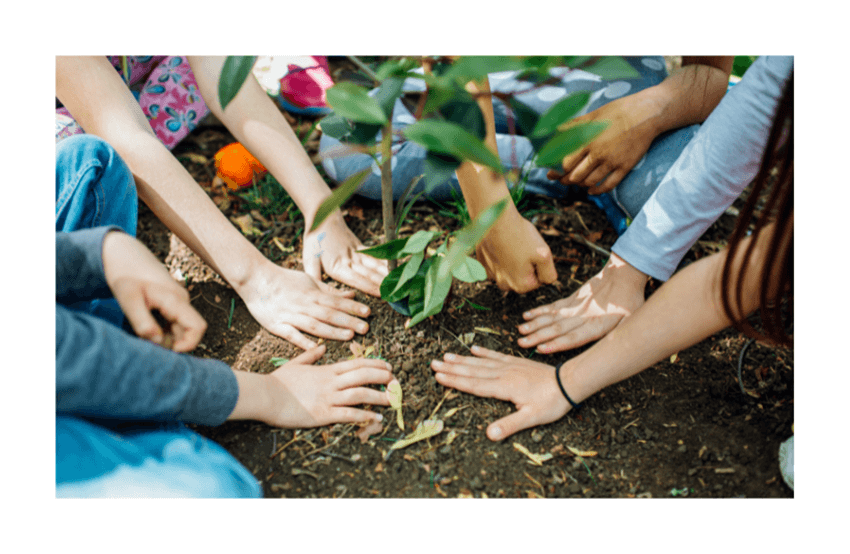 arbres-fruitiers-lotissement-bavent-douet-clapet-1